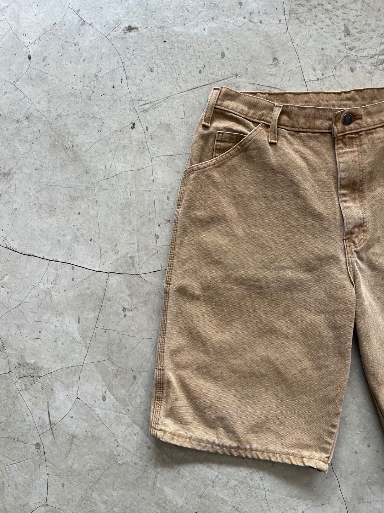 Dickies Canvas Shorts