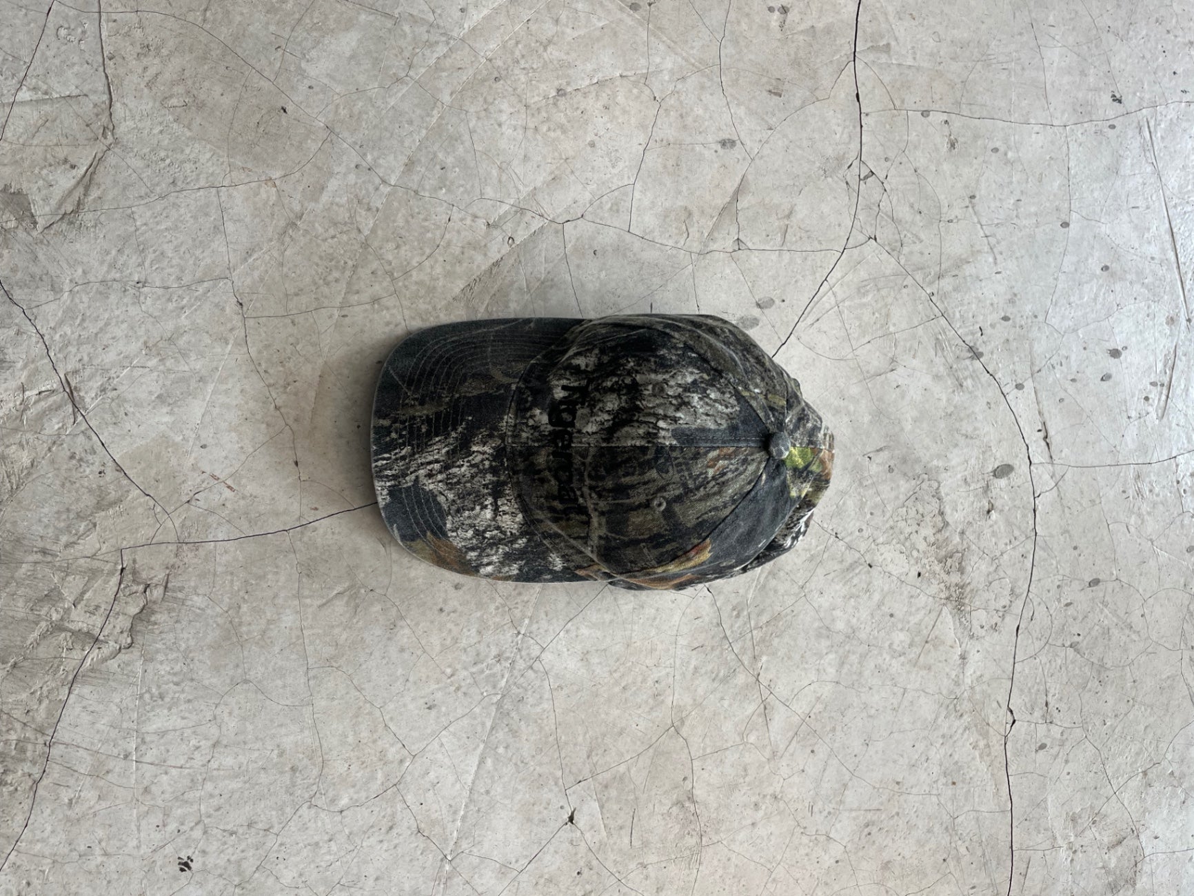 Predator Tigercat Cap