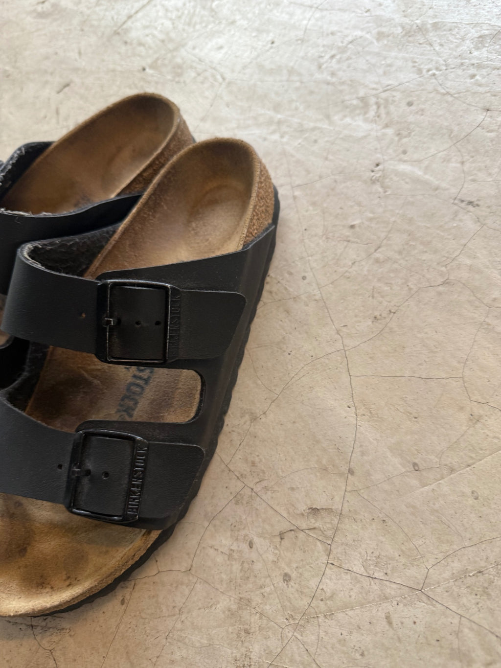 Arizona Birken Stock