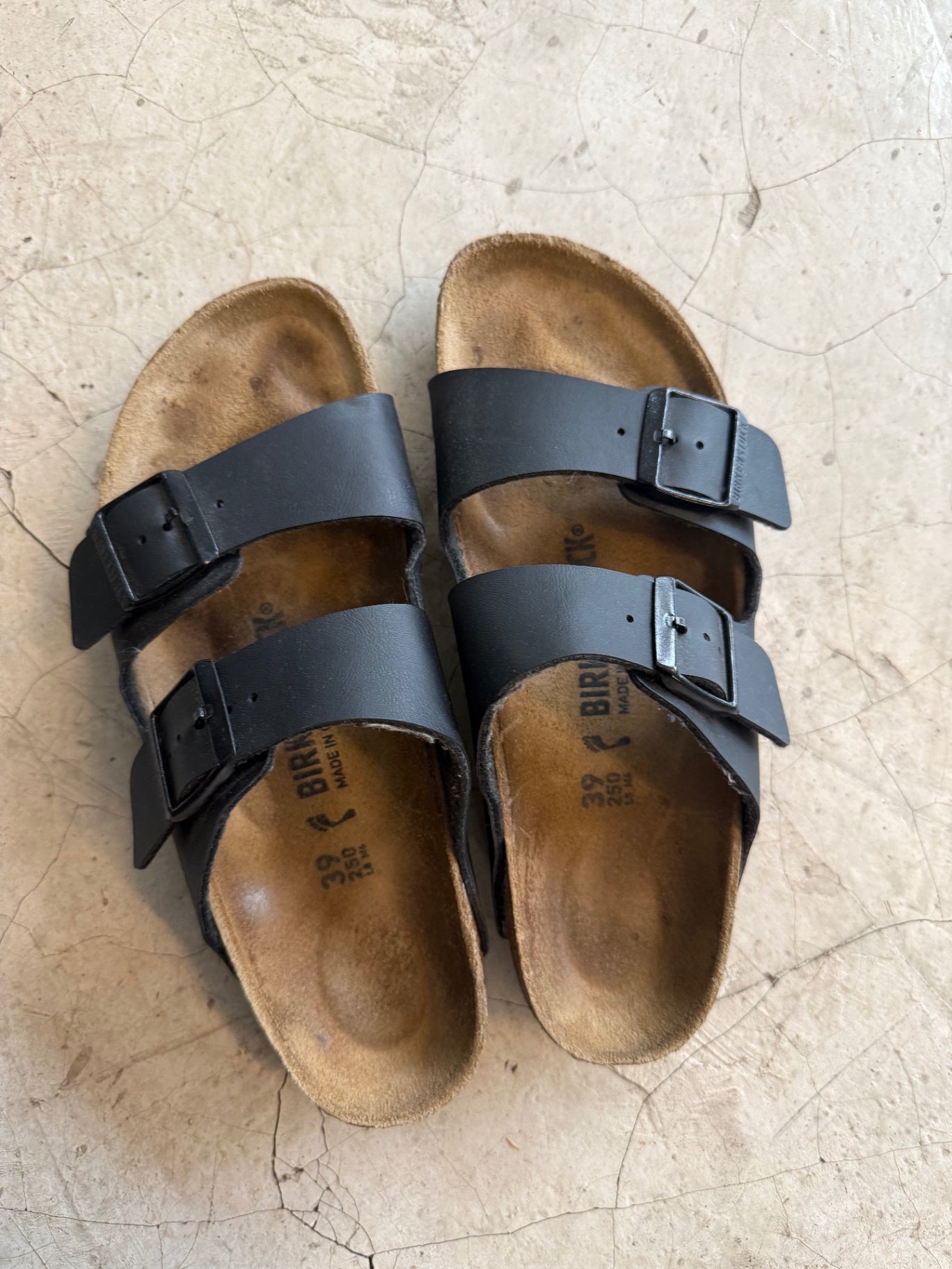 Arizona Birken Stock