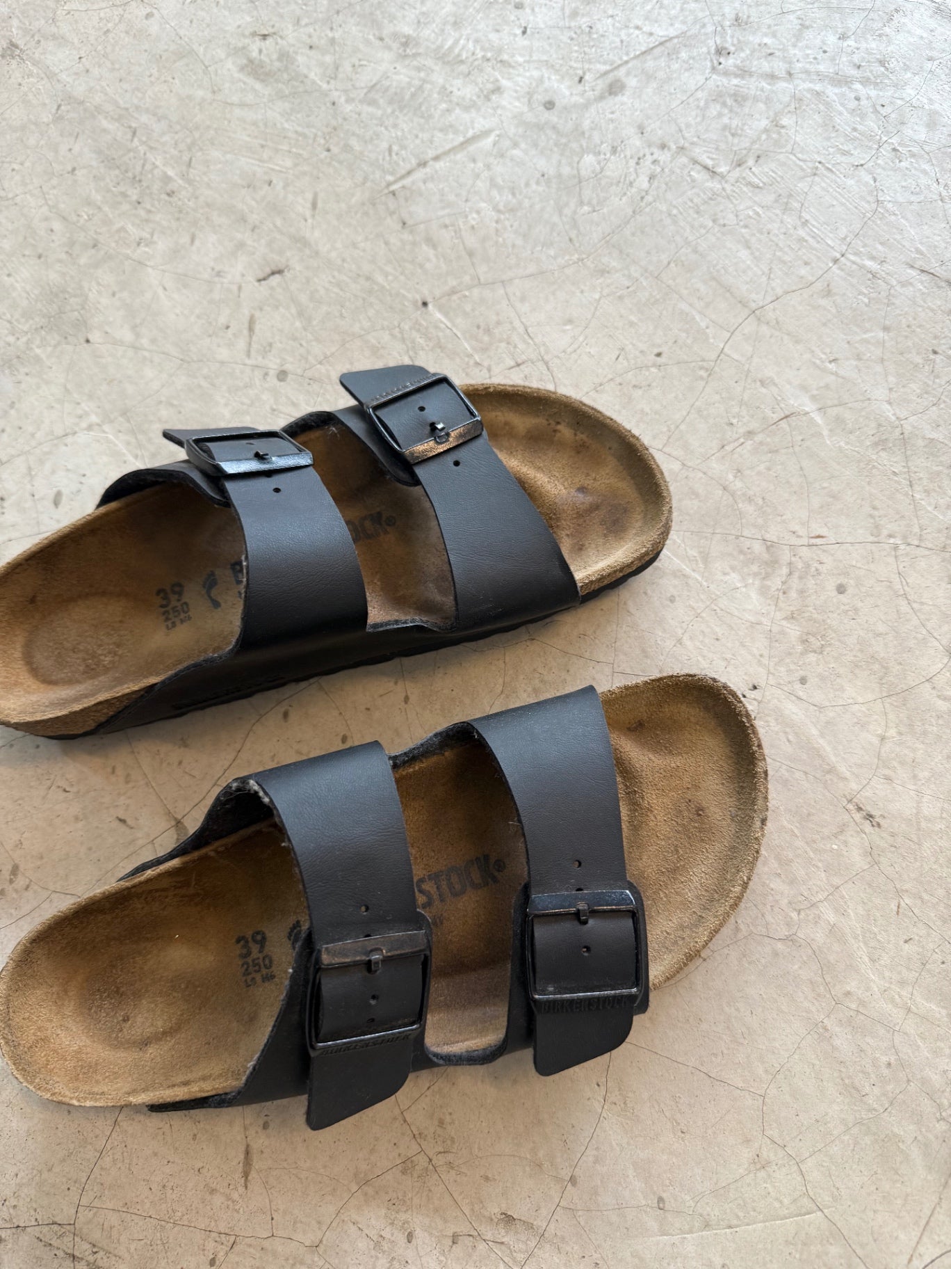 Arizona Birken Stock