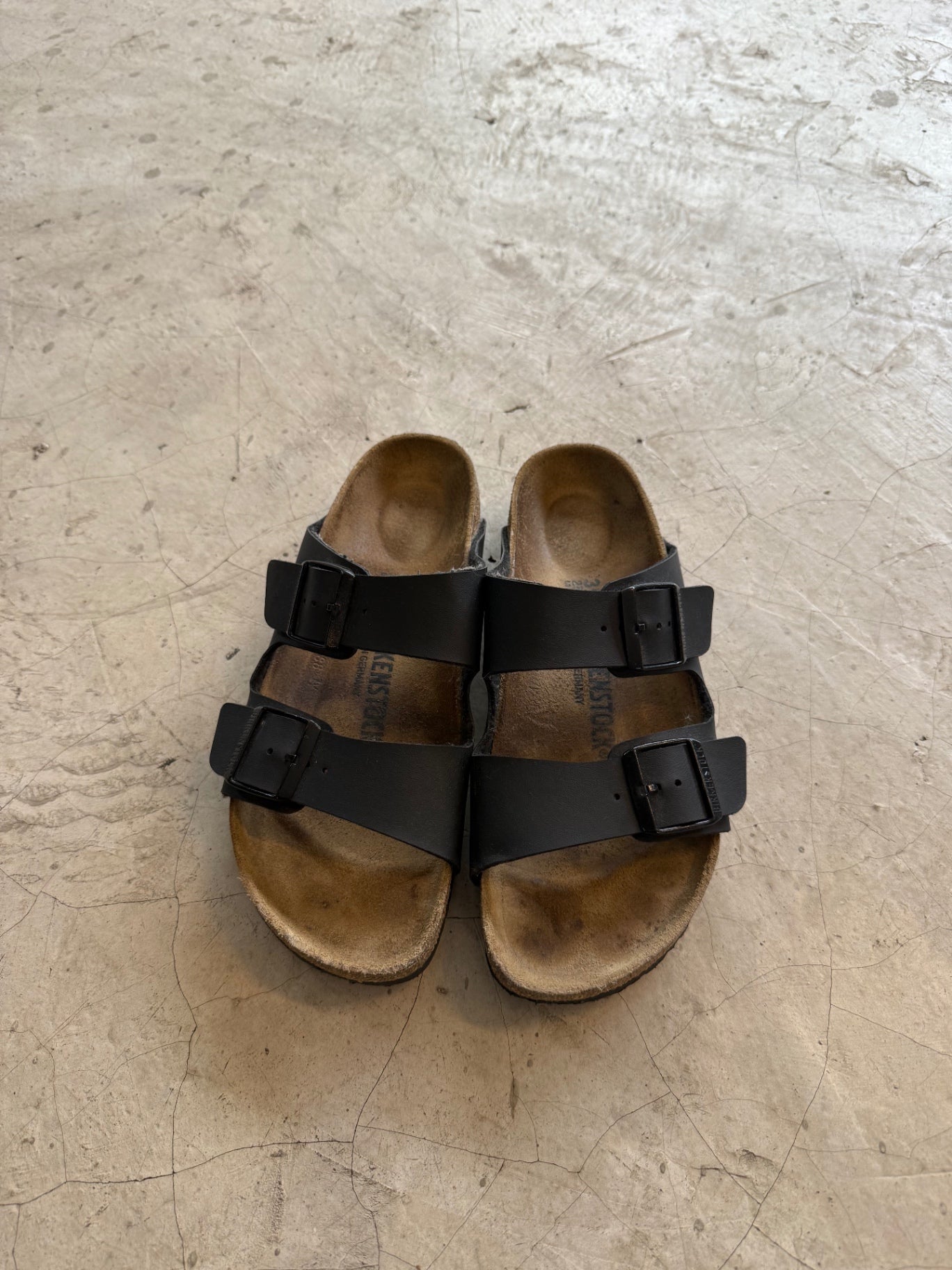 Arizona Birken Stock