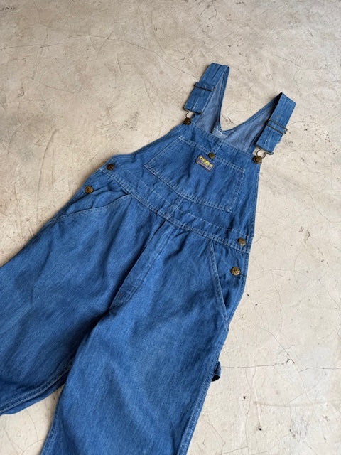 OshKosh Carpenter Denim Dungarees