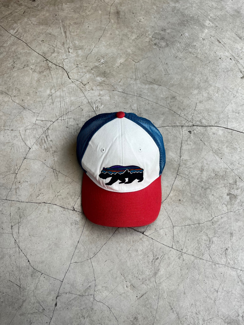 Patagonia Cap