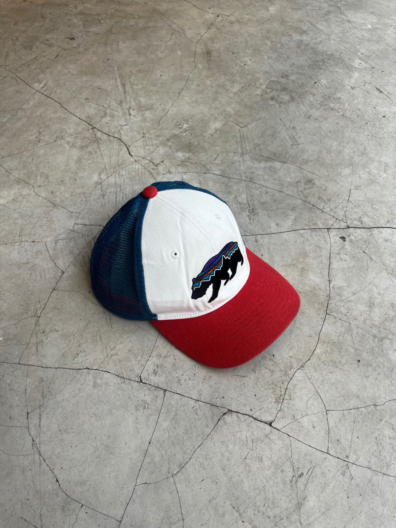 Patagonia Cap