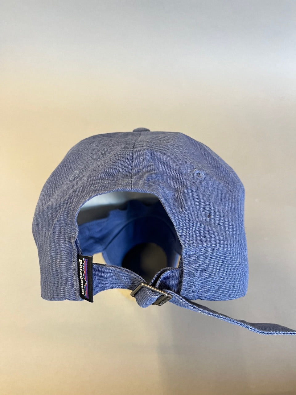 Patagonia P-6 Label Trad Cap