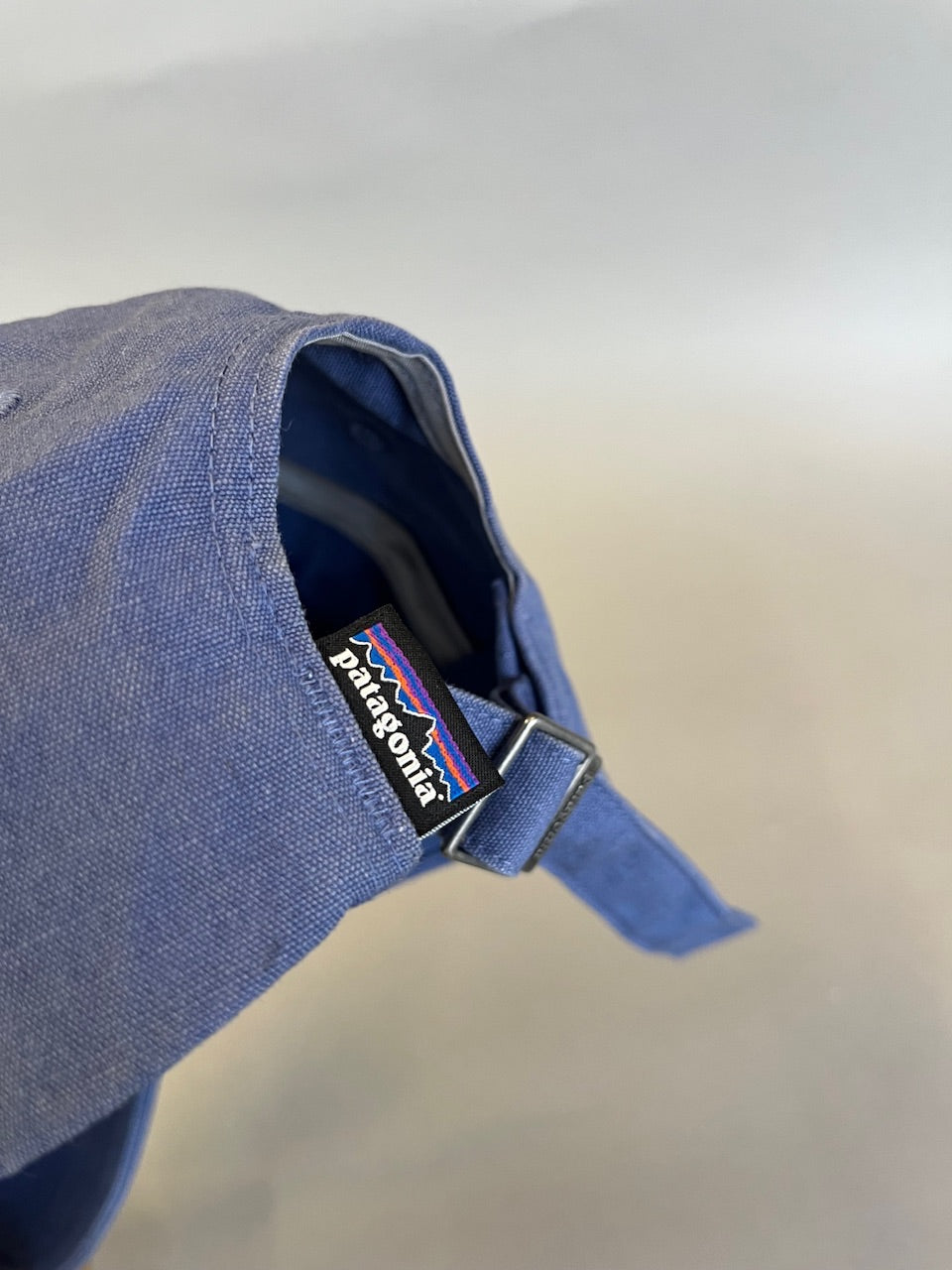 Patagonia P-6 Label Trad Cap