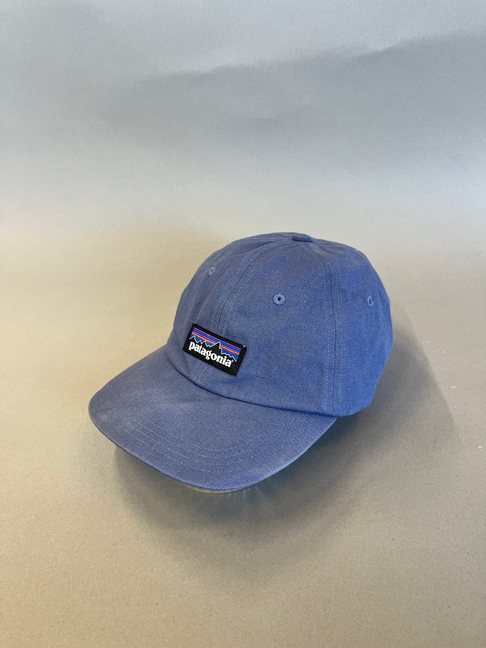 Patagonia P-6 Label Trad Cap