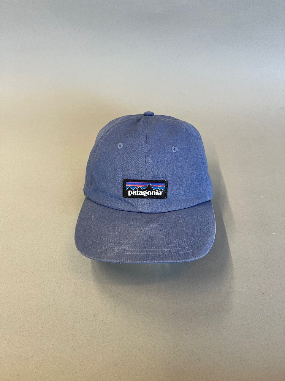 Patagonia P-6 Label Trad Cap