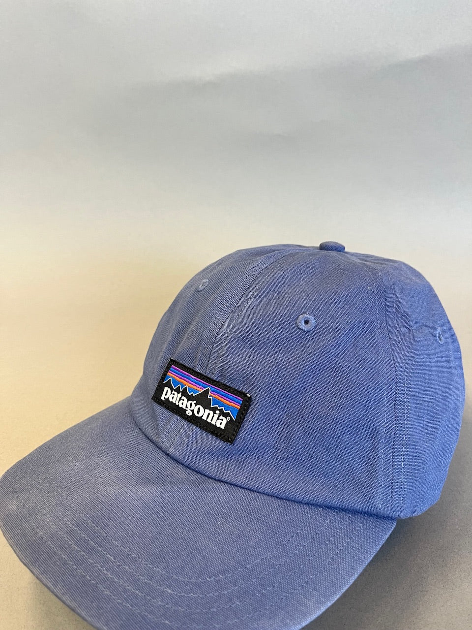 Patagonia P-6 Label Trad Cap