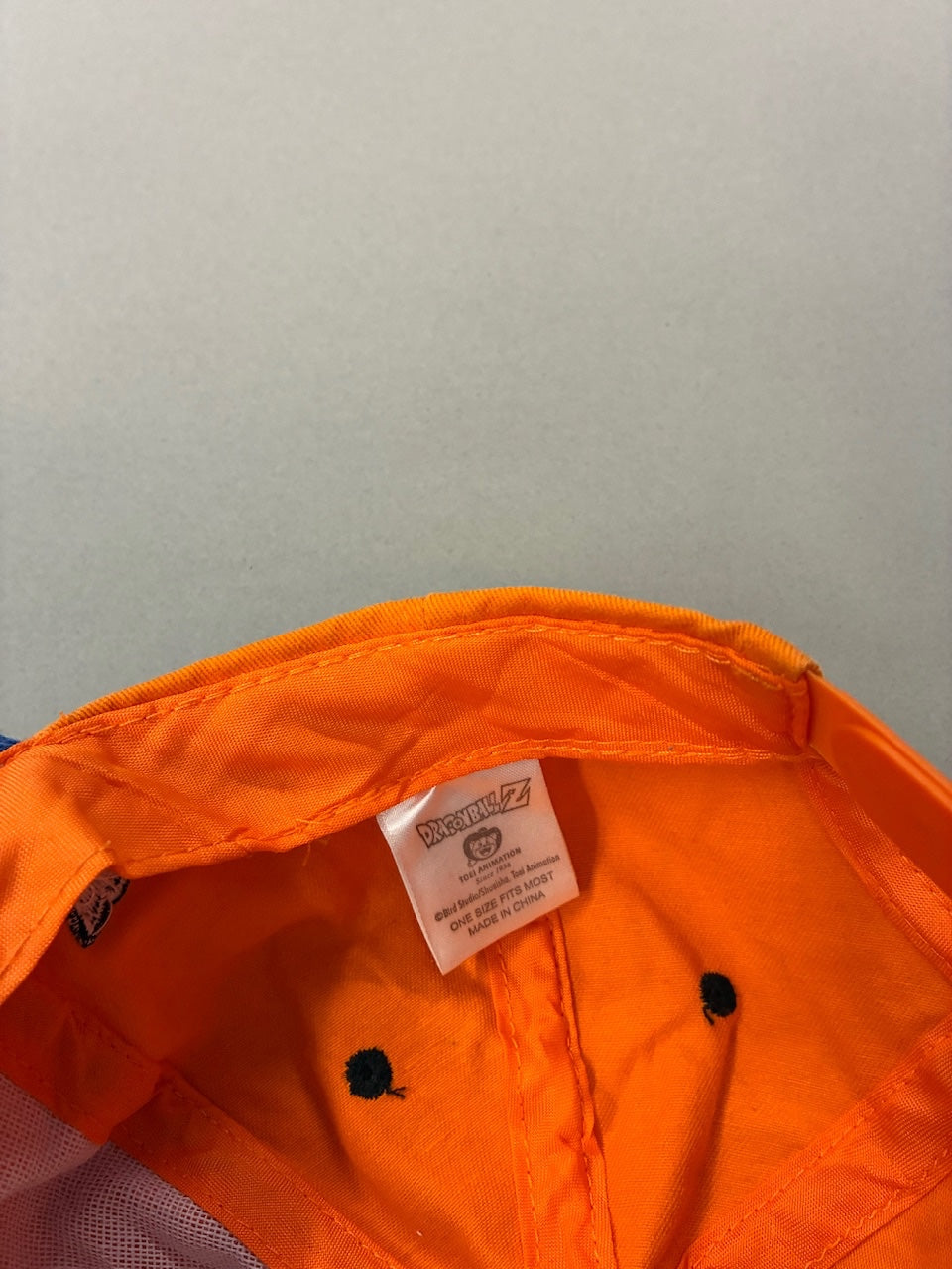 Dragonball Z Cap 