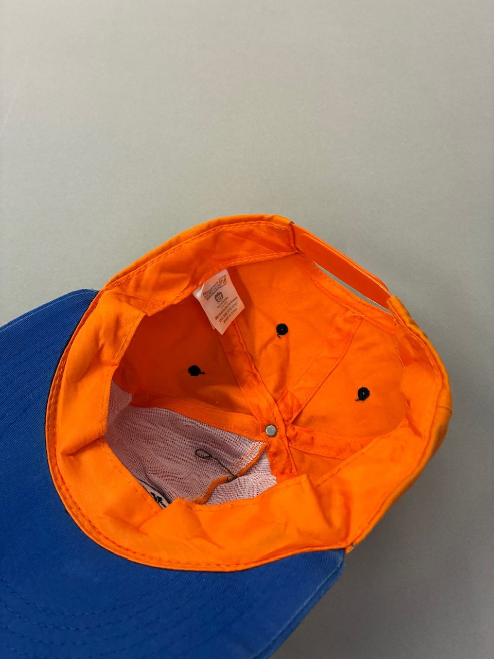 Dragonball Z Cap 