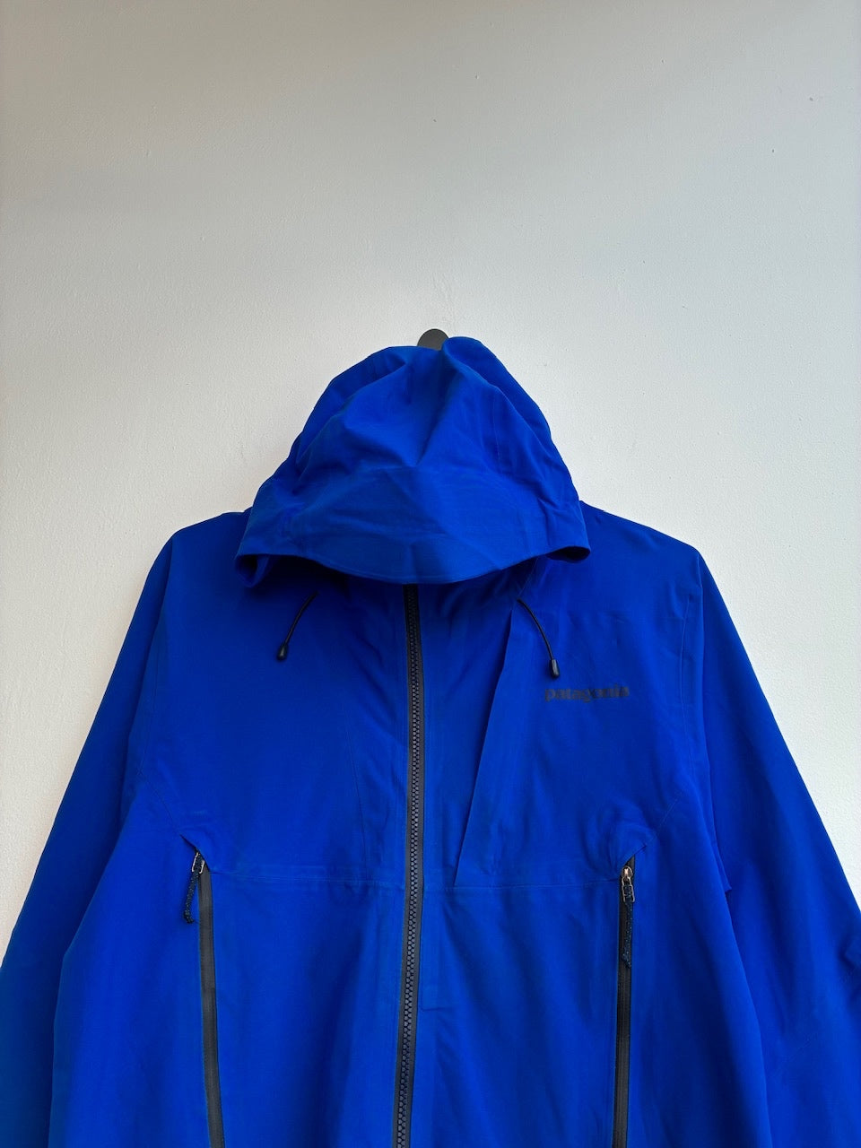 Patagonia Blue Jacket